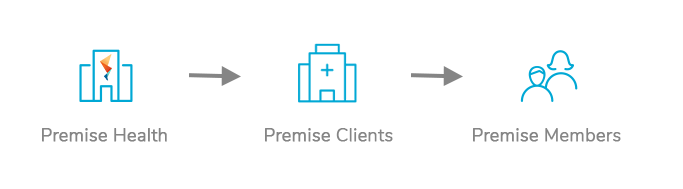 Graph showing the Premise direct healthcare model of business to client to member | Premise Health Blog